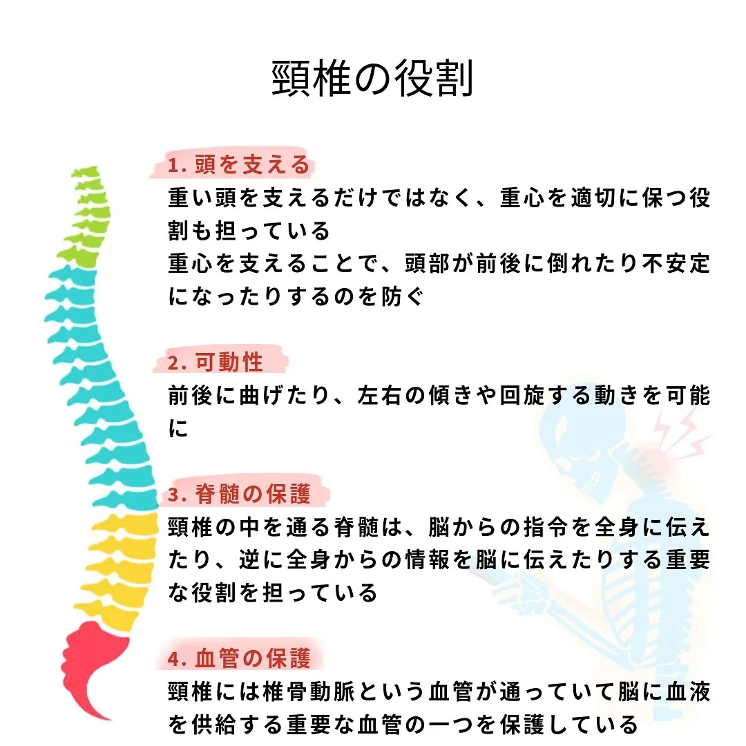 【頸椎の役割・影響と関係性】